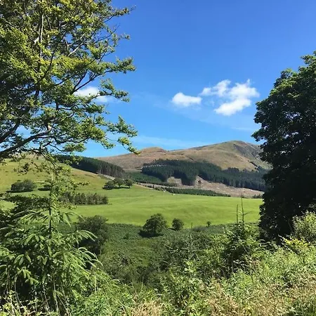 Treetops Lamplugh