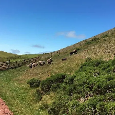 別荘 Treetops Lamplugh