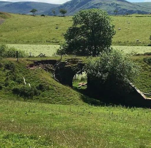 Treetops Vakantiehuis