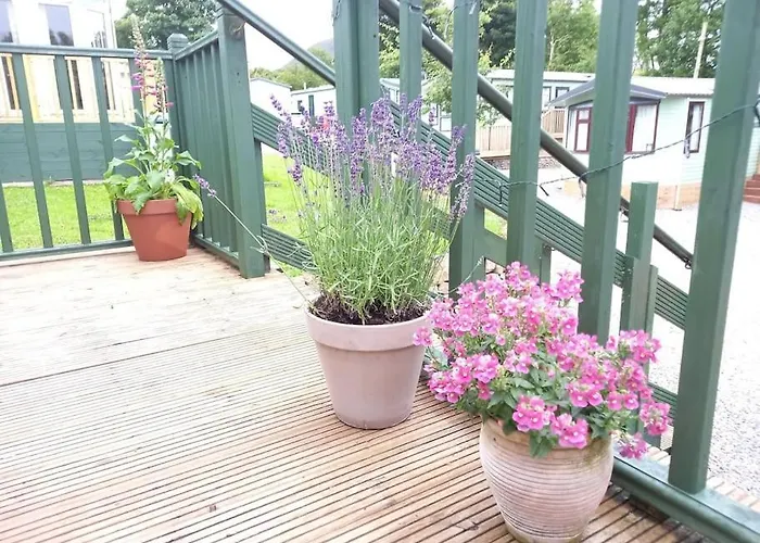 Treetops Vakantiehuis