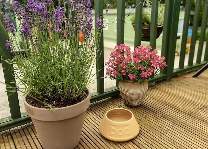 Vakantiehuis Treetops