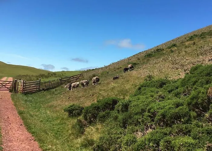 別荘 Treetops Lamplugh