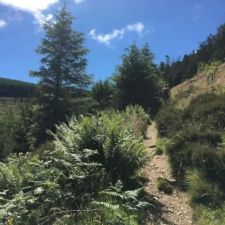 Treetops 度假居 *