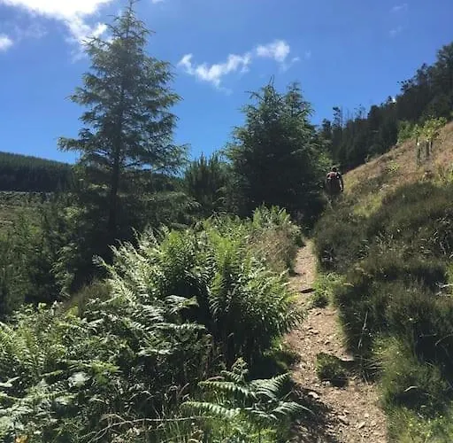 Treetops 度假居 *